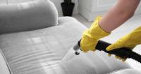 Fair Dinkum Carpet and Pest - Pest Control Buderim image 1